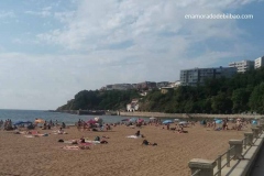 1_ereaga